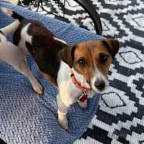 Thumbnail photo of Jill * #3