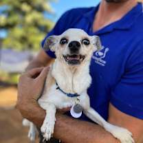 Thumbnail photo of Prince #1