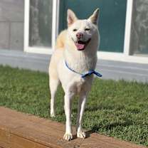 Thumbnail photo of Haechan #4