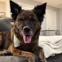 Thumbnail photo of Honey #2