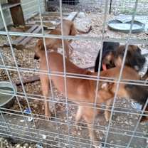 Thumbnail photo of Jiva II #4