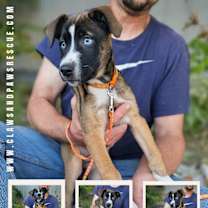 Thumbnail photo of Conway #1