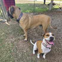 Thumbnail photo of Nova #2