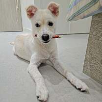 Thumbnail photo of WENDY #2