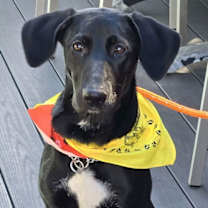 Thumbnail photo of Samantha #1