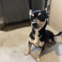 Thumbnail photo of Bruce #3