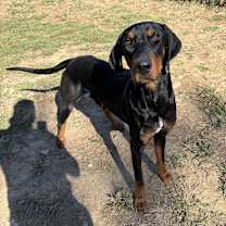 Thumbnail photo of Commander #1