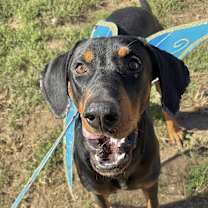 Thumbnail photo of Commander #3