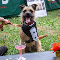 Thumbnail photo of Damon #1