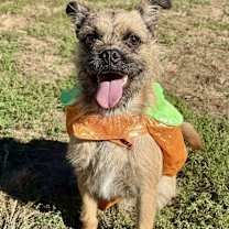 Thumbnail photo of Damon #2