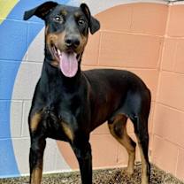 Thumbnail photo of Taco #1