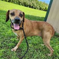 Thumbnail photo of Shadow #2