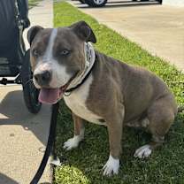 Thumbnail photo of Luna #1