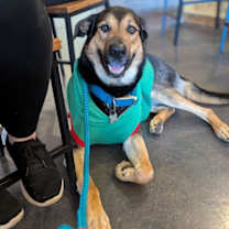 Thumbnail photo of Fiyero #1