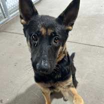 Thumbnail photo of Vivi #3