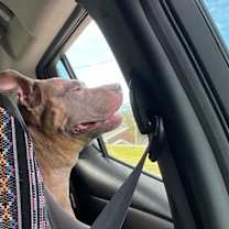 Thumbnail photo of Georgia #3