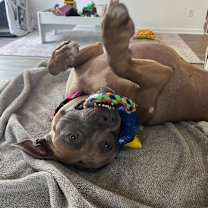 Thumbnail photo of Georgia #4