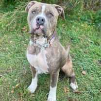 Thumbnail photo of Simon #1