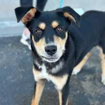 Thumbnail photo of Topher* #1