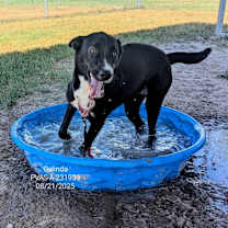 Thumbnail photo of Galinda  #1