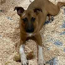 Thumbnail photo of Zeus #3