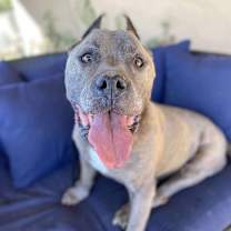 Thumbnail photo of Zeus Mulligan #1