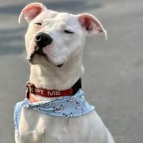 Thumbnail photo of Donco #1