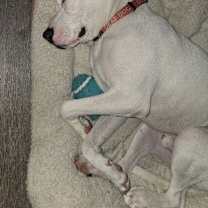 Thumbnail photo of Donco #2