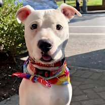 Thumbnail photo of Donco #3