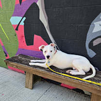 Thumbnail photo of Donco #4