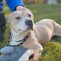 Thumbnail photo of Logan #1