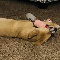 Thumbnail photo of Mina #4