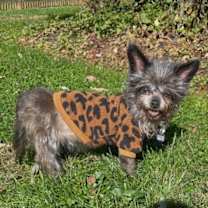 Thumbnail photo of Douglas #1