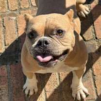 Thumbnail photo of Zydeco #1