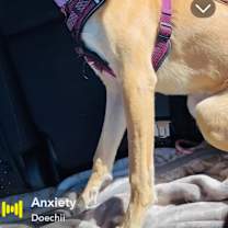 Thumbnail photo of Mina #2