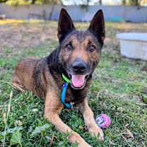 Thumbnail photo of Ghirardelli  #1