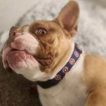 Thumbnail photo of Sir Loin #4