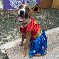 Thumbnail photo of Wendigo #2