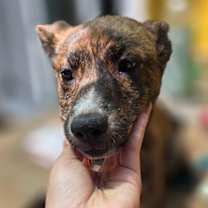 Thumbnail photo of Eunchoong #4