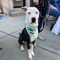 Thumbnail photo of Deuce #2