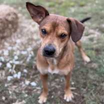 Thumbnail photo of Boone #3