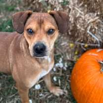 Thumbnail photo of Boone #1