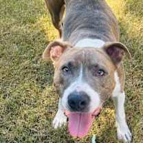 Thumbnail photo of Roy #2