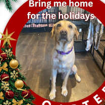 Thumbnail photo of Carter #1