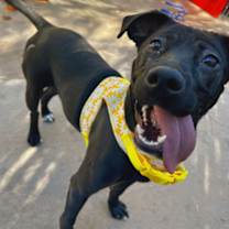 Thumbnail photo of Button #1