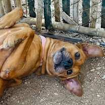 Thumbnail photo of Chairman #3