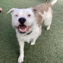 Thumbnail photo of Winnie #1