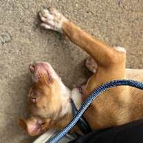 Thumbnail photo of Alsek #2