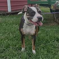 Thumbnail photo of Jasmine #4