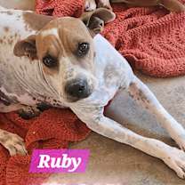Thumbnail photo of Ruby #3
